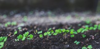 How to start a startup? + Infographic Start a startup