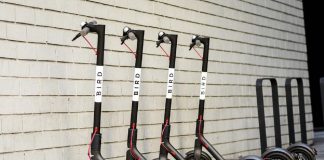 A simple startup called bird has almost changed the world