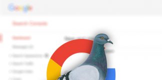 What is Google pigeon algorithm? pigeon-algorithm