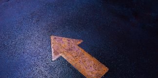 Trend of Startups in 2025: Emerging Opportunities for Entrepreneurs Trend of Startups